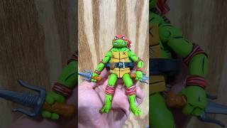 Custom painted Raph