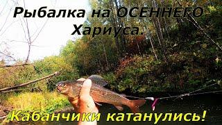 Рыбалка на ХАРИУСАНету нету как ХАПНЕТ КабанчикХитрые стали к ОСЕНИ.