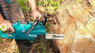 Перепилит ли огромный пень?  Цепные пилы высоторезы MAKITA LXT и XGT