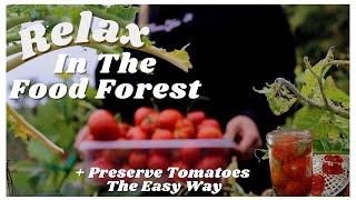 Relaxing Week In The Food Forest Garden + Preserve Tomatoes The Easy lazy? Way 