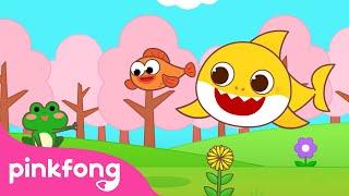Hello Spring is Here   Spring Season  Weather for Kids  Spring Songs  Pinkfong Baby Shark