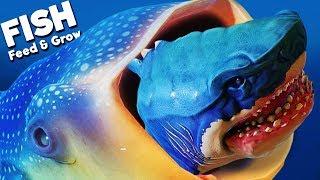 NEW MEGALODON vs GIANT WHALE SHARK?  Feed And Grow Fish Gameplay