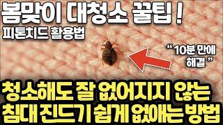 청소해도 없어지지 않는 침대 진드기 쉽게 없애는 방법 l 피톤치드로 단 10분만에 새집 기분 내는 방법