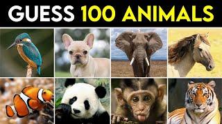 Guess 100 Animals in 3 seconds Animal Quiz