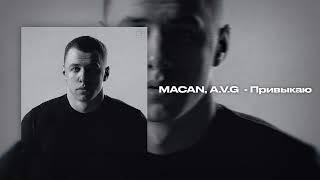 MACAN A.V.G - Привыкаю