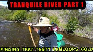 Tranquille River GOLD - Kamloops Part 1 - Gold History and MORE GOLD