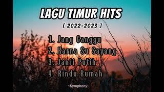 LAGU TIMUR HITS 2022-2023 VIRAL 