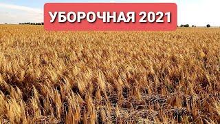 УБОРОЧНАЯ 2021 не за горами 18.06.21