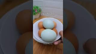 Telur Dadar Padang