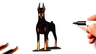 How to draw a Doberman Pinscher  How to Draw a Dog