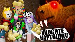 ПОБЕГ ИЗ ЛАБИРИНТА ОГРОМНОЙ КАПИБАРЫ Roblox Escape the capybara