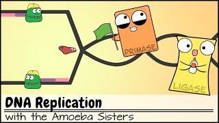 DNA Replication Updated