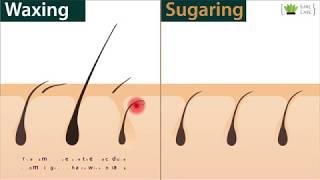 Waxing or Sugar Waxing which one is better