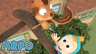 Baby Daniel vs a SQUIRREL - Arpo the Robot   Funny Cartoons for Kids  Kids Series  Animation