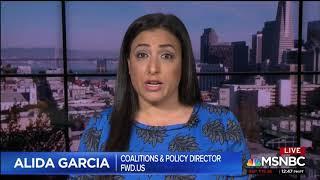 ACLU spokeswoman on separating families at the border
