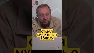 Старая мудрая притча #сундаков #ведическаярусь #ведическиезнания #историяруси