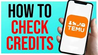 How to Check Temu Credit Balance Easily SUPER SIMPLE