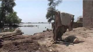 Pakistan floods The new island villages of Sindh province