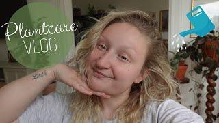 PLANTCARE VLOG 🪴  Wässern Schädlingsbekämpfung & Rankstäbe 