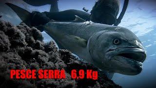 Pesce Serra 69 kg in 58 secondi