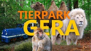Tierpark Gera - Der Waldzoo  Zoo Eindruck