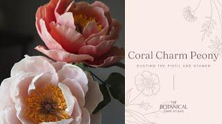 Coral Charm Peony Sugar Flower Tutorial Gumpaste  Flower Paste Dusting the Pistil and Stamen