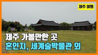제주 가볼만한 곳 – 혼인지 세계술박물관 외 South Korea Travel  Jeju Honinji World Liquor Museum Others