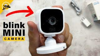 Blink Mini Indoor Security Camera - Setup & First Impressions