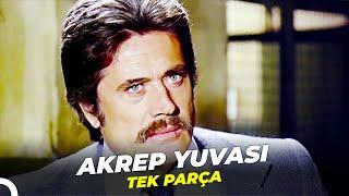 Akrep Yuvası  Cüneyt Arkın Banu Alkan Türk Filmi Full İzle