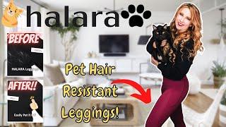 Halara Patitoff PET HAIR RESISTANT LEGGINGS? Do they WORK?