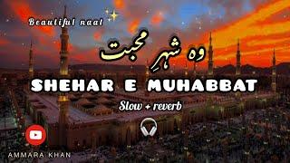 Shehar e muhabbat  heart touching naat️  slow and reverb  + lyrics #2023