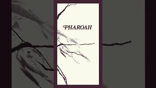 Introducing Pharoah Pharoah Sanders’ seminal album from 1977