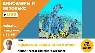 Занятие Эдиакарий блины перья и лучок кружка Динозавры и не только с Ярославом Поповым