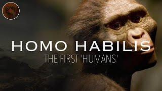 Homo Habilis The First Humans  Prehistoric Humans Documentary