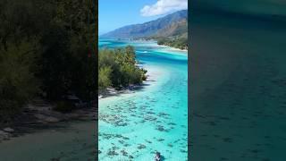 Islands bring happiness ️ #beach #drone #inspiration #travel #beautiful #waves #ocean