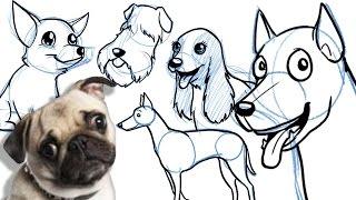 How to Draw a Cartoon Dog - All breeds and on different angles