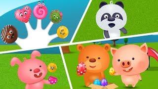 Candy Pop Fun Finger Family Family Rhyme   Finger Family Songs