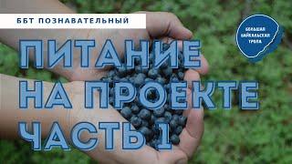 ОРГАНИЗАЦИЯ ПИТАНИЯ НА ВОЛОНТЕРСКОМ ПРОЕКТЕ