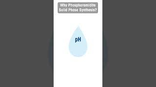 Why Phosphoramidite Solid Phase Synthesis?