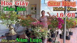 Hoa giấy ghép nhiều màu siêu hoa siêu đẹp VIP giao lưu ngày 1008 ️ 0386.302.829 Năm Luận