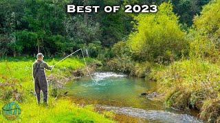 THE BEST FLY FISHING  TROUT FISHING VIDEO Best of Compilation - 2023