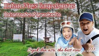 Wisata Alam Hutan Pinus Limpakuwus Baturraden Purwokerto  Review Terbaru 2024