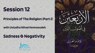 Sadness & Negativity  Principles of the Religion II  Ustadha Nihad Hemmoudeh  Session 12