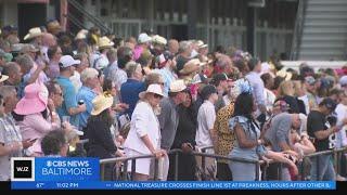 Tragedy on the Track 2023 Preakness Stakes overshadowed by horse death