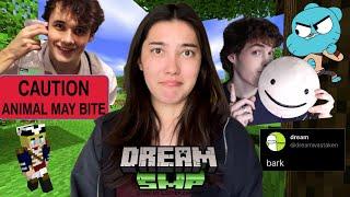 an unnecessarily long recap of dreamsmp drama