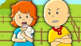 Caillous Bunny  Caillou Cartoon