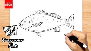 How to draw Snapper Fish