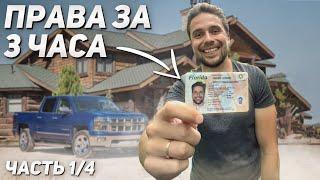 Как получить первые документы в США  Driver License в Америке