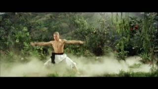 Kuil Jet Lee Shaolin Asli