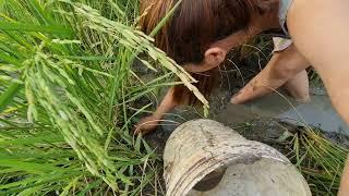 Sotheany finds fish in the field